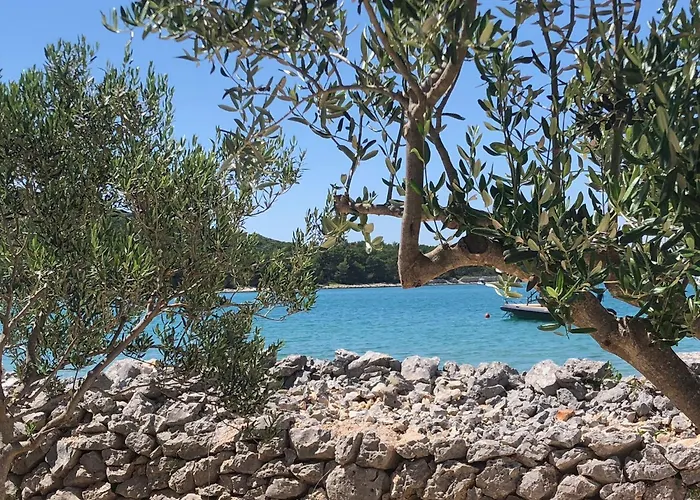 Hébergement de vacances Thebeachvilla 3